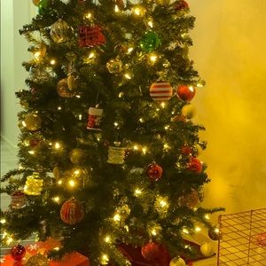 Meet your Posher, Abraham